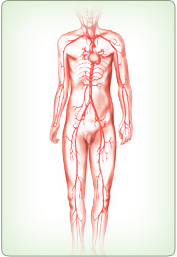 Full Body Internal Cleanse