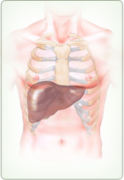 Full Body Internal Cleanse